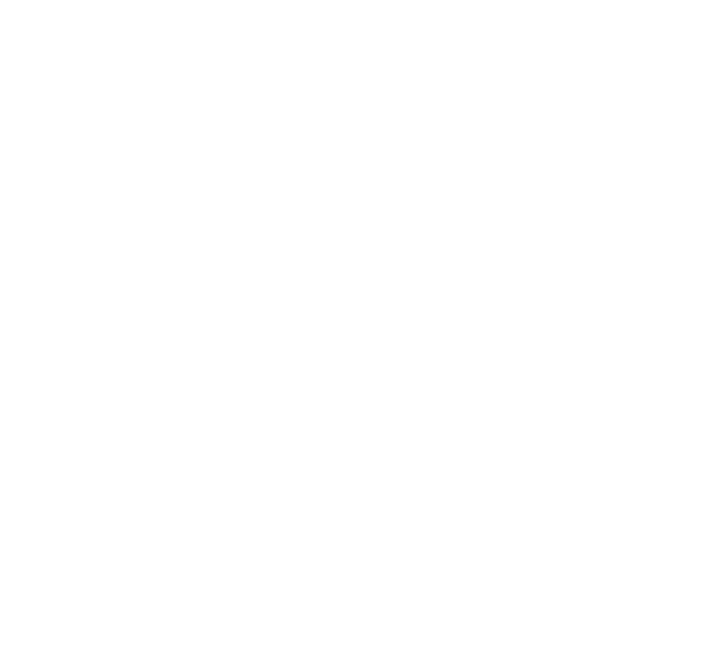 PT Borneo Cassava Nusantara